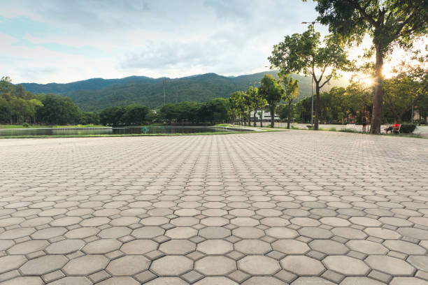 Permeable Paver Driveway in Riviera Beach, FL